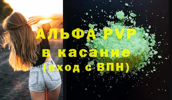 трава Сатка
