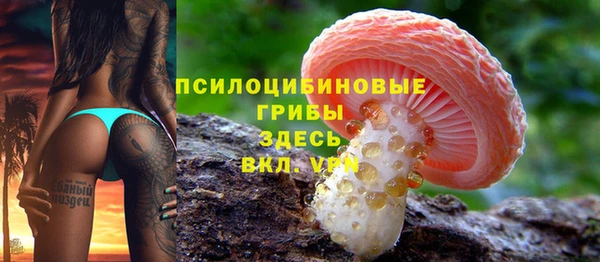 амфетамин Белокуриха