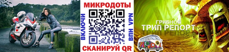 hydra ССЫЛКА  Никольское  Галлюциногенные грибы MAGIC MUSHROOMS 